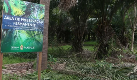 MP-AM investiga obra irregular em área de reserva no bairro Cidade Nova