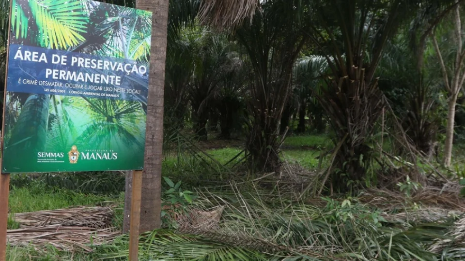 MP-AM investiga obra irregular em área de reserva no bairro Cidade Nova