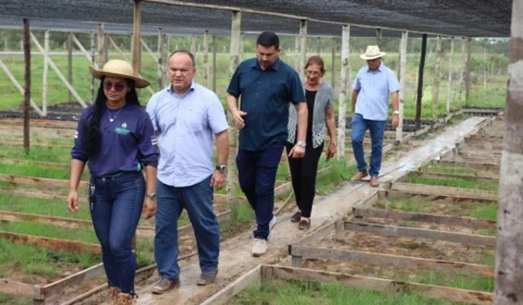 Sepror e Idam visitam projeto-piloto de Bioeconomia na BR-319