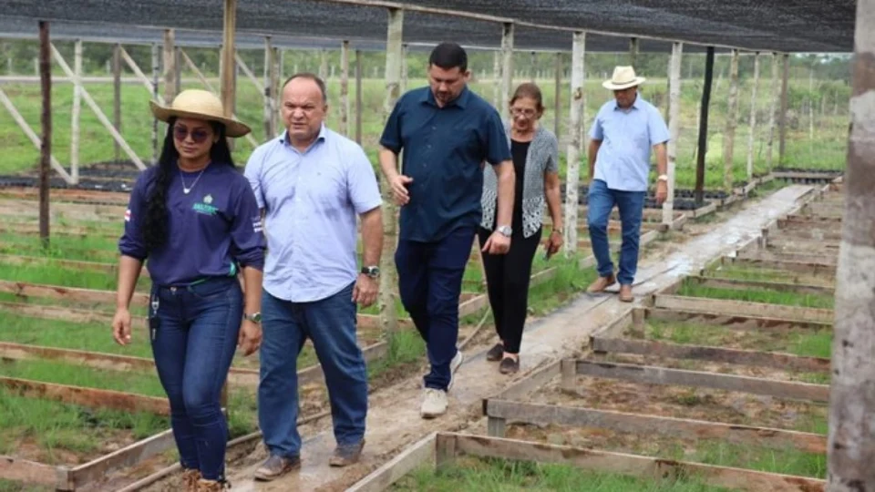 Sepror e Idam visitam projeto-piloto de Bioeconomia na BR-319