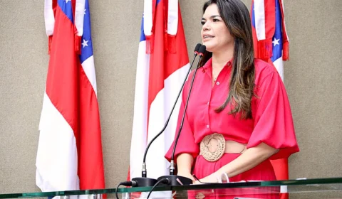 Proposta que ampara órfãos do feminicídio no Amazonas foi pauta na ALEAM