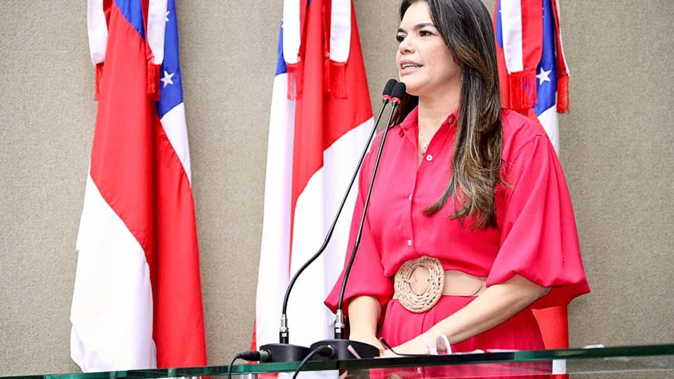 Proposta que ampara órfãos do feminicídio no Amazonas foi pauta na ALEAM