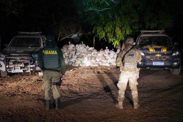 whatsapp image 2023 04 06 at 11.16.57 (1)