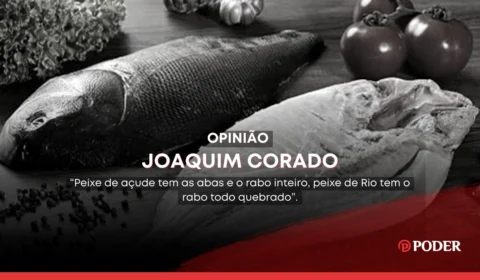 Mamirauá: a ração no bucho