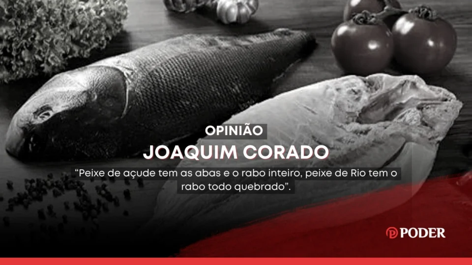 Mamirauá: a ração no bucho