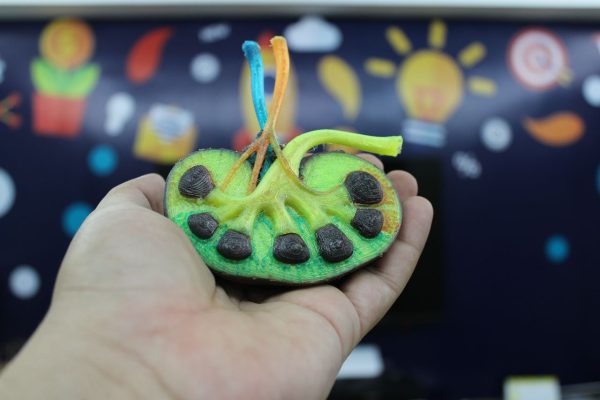 whatsapp image 2023 06 26 at 14.40.30