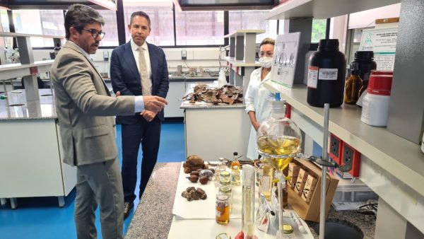 6cfb43a0 3d02 4834 a2d4 51f3663dcc45