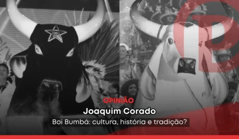 Boi Bumbá: cultura, história e tradição?