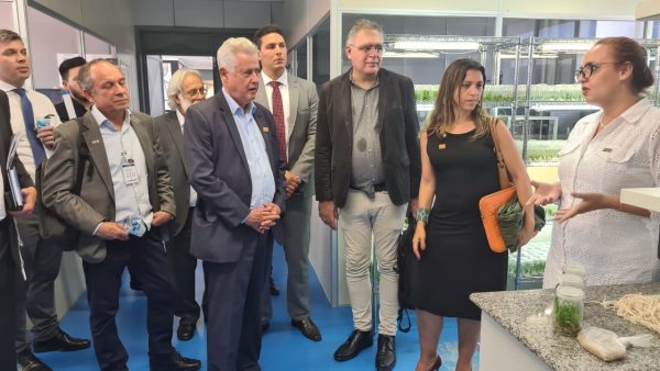 whatsapp image 2023 07 25 at 19.47.19