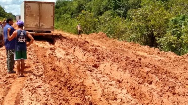 rodovia br 319 777x437