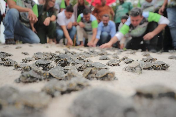 whatsapp image 2023 08 11 at 11.41.09