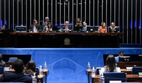 Em sessão temática, especialistas alertam para impactos dos desastres climáticos