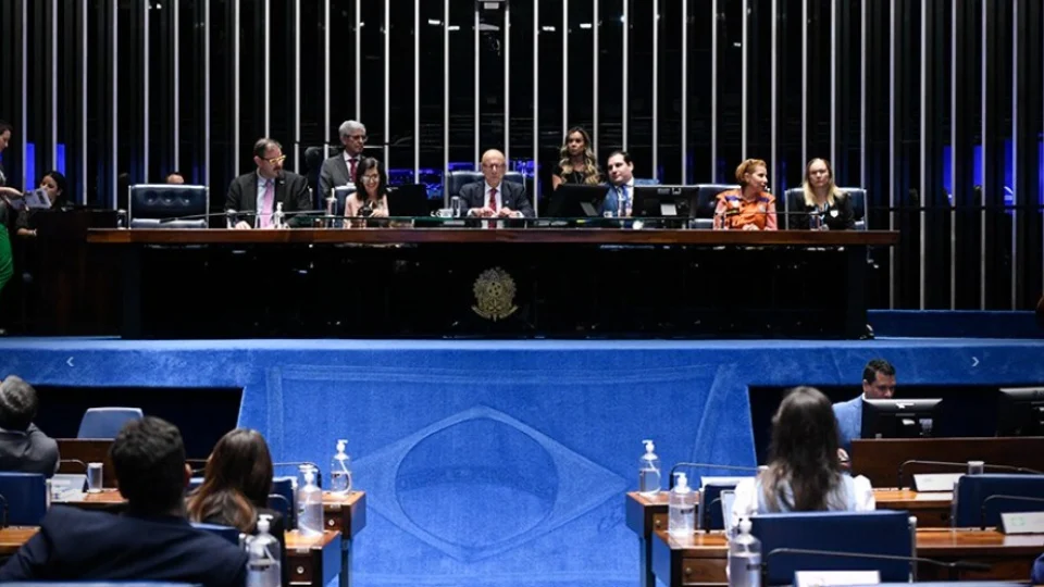 Em sessão temática, especialistas alertam para impactos dos desastres climáticos