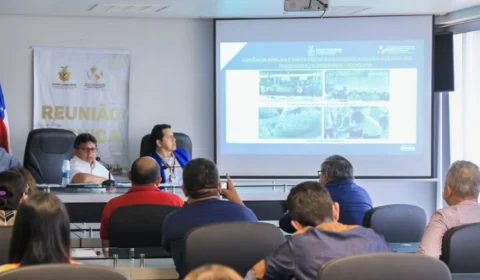 Bancada Amazonense debate sobre extrativismo mineral familiar