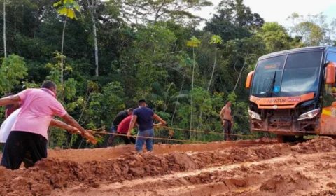 BR-319: Grupo de trabalho pode ser sinônimo de atraso na reconstrução da rodovia