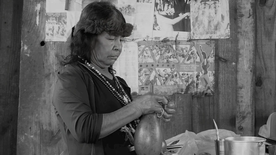 Câmara aprova criação da bancada negra