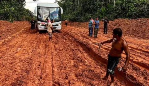 ONGs e Esquerda complicam grandes obras como a BR-319, diz site