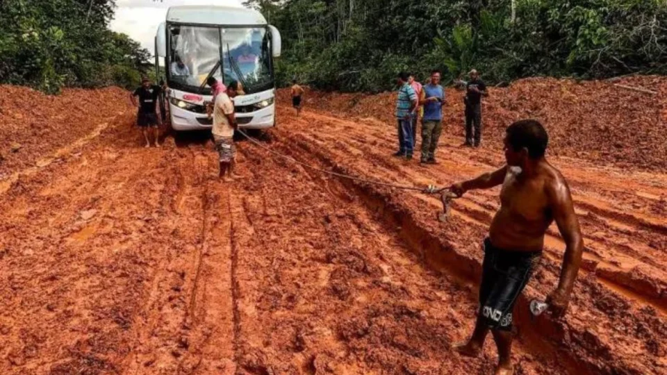 ONGs e Esquerda complicam grandes obras como a BR-319, diz site