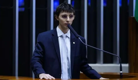 Deputado Amom busca apoio da ONU para combater queimadas na Amazônia