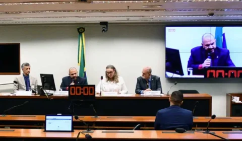 Política Comissão da Câmara autoriza estados a legislarem sobre armas