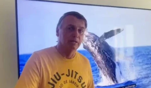 Ibama multa Bolsonaro no caso de baleia, apesar de PF não ter indiciado ex-presidente