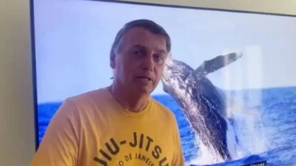 Ibama multa Bolsonaro no caso de baleia, apesar de PF não ter indiciado ex-presidente