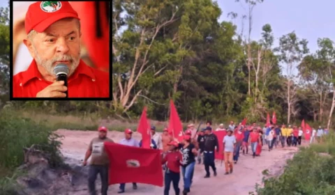 MST: em 2024, invasões de terras aumentam 150% no Brasil