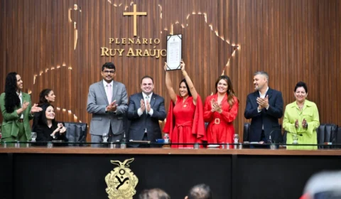 Aleam concede a Medalha Ruy Araújo à Isabelle Nogueira