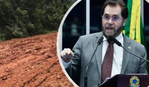 Viabilidade da BR-319: ‘Quero ver o que falsos ambientalistas vão dizer’, declara Plínio