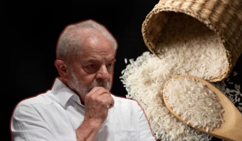 Leilão de arroz do governo Lula é anulado em meio a indícios de corrupção
