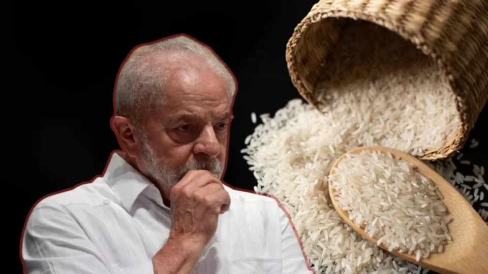 Leilão de arroz do governo Lula é anulado em meio a indícios de corrupção