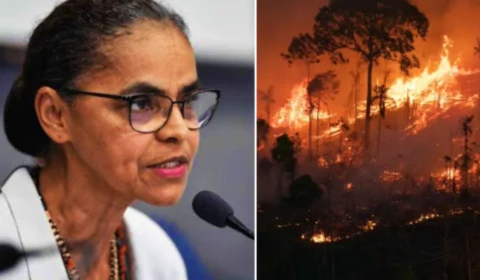 Brasil teve 4,48 milhões de hectares queimados entre janeiro e junho deste ano