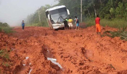 ONG financiada por George Soros impede na Justiça obra da BR-319