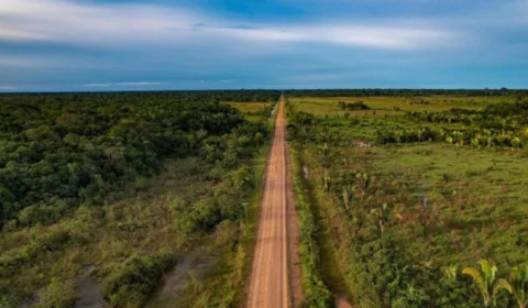 Atraso: TRF-1 mantém suspensão da reconstrução de trecho da BR-319