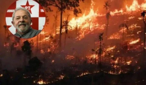 Queimadas explodem no governo Lula: Brasil registra maior índice em 20 anos