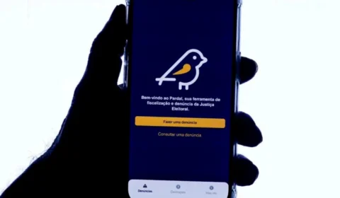 Eleitores podem denunciar irregularidades pelo aplicativo Pardal