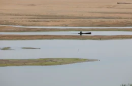 MPE recomenda rigor na distribuição de serviços em Parintins no período eleitoral