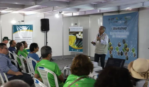 Governo promove cursos profissionalizantes para produtores rurais e empresários do agronegócio