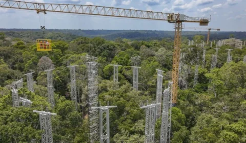 Programa AmazonFACE é apresentado a delegações internacionais durante encontro do G20 em Manaus