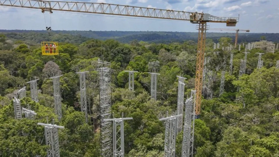 Programa AmazonFACE é apresentado a delegações internacionais durante encontro do G20 em Manaus