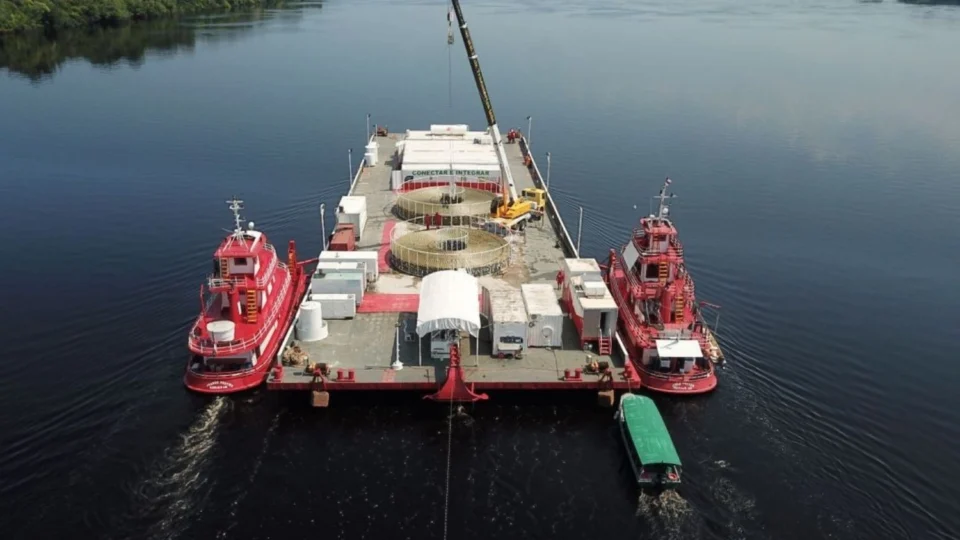 Interrupções no Programa Amazônia Conectada afetam 5 municípios do Amazonas por falta de manutenção