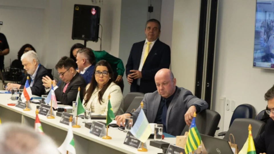 Conselho Nacional aprova Nota de Pesar em homenagem à promotora de Justiça Christiane Dolzane