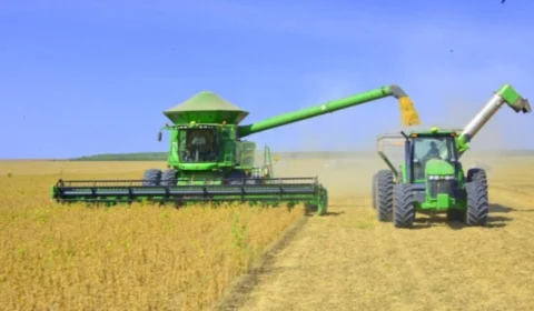 Roraima lidera crescimento do PIB no Brasil em 2022, impulsionado pela agropecuária e serviços