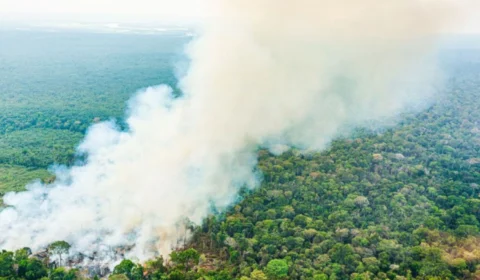 Seis municípios do Amazonas recebem repasse de R$ 4,7 milhões para enfrentar crises climáticas