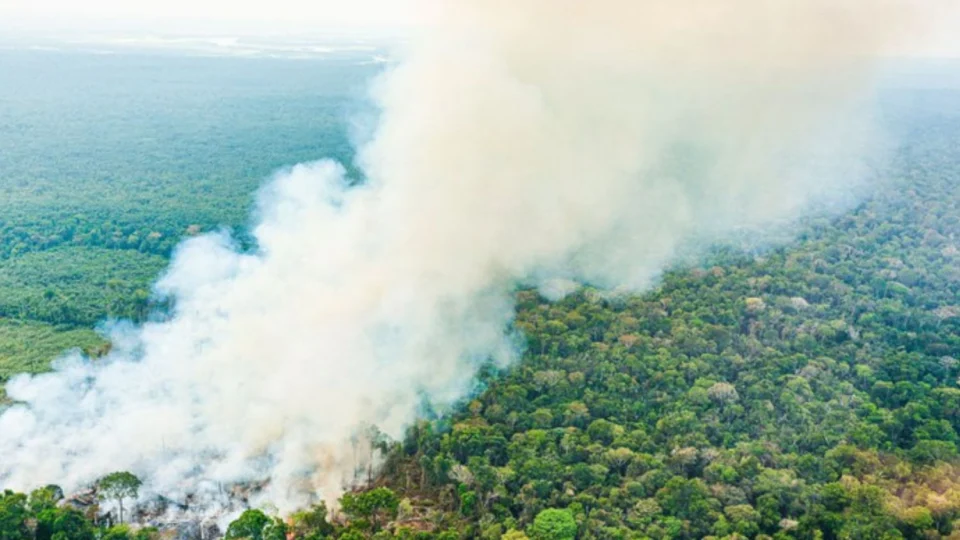 Seis municípios do Amazonas recebem repasse de R$ 4,7 milhões para enfrentar crises climáticas