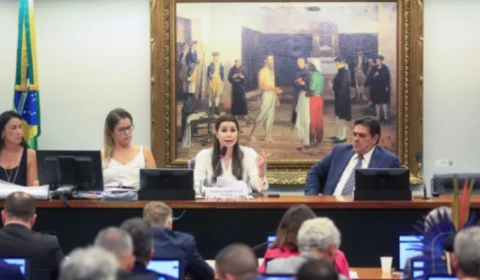 Câmara: PEC que proíbe o aborto volta à pauta da CCJ nesta terça