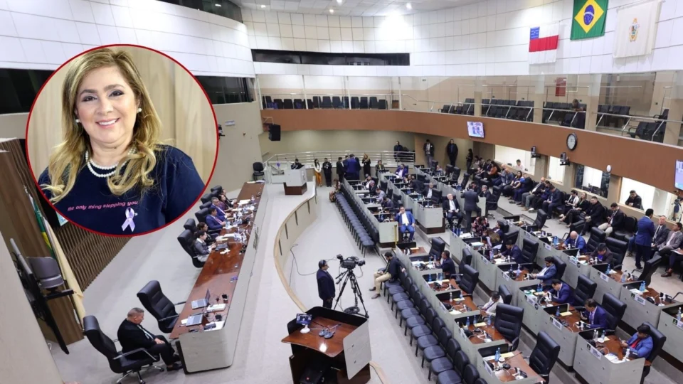 Vereadores rejeitam convocação de Dulce Almeida para explicar pagamento de abono do Fundeb