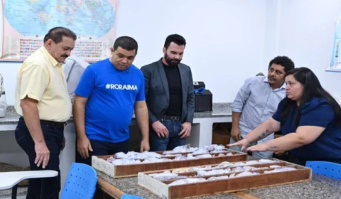 ALE-RR articula pesquisas sobre recursos minerais e energéticos de Roraima