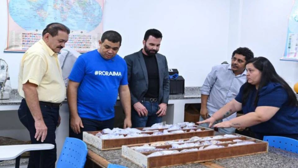 ALE-RR articula pesquisas sobre recursos minerais e energéticos de Roraima