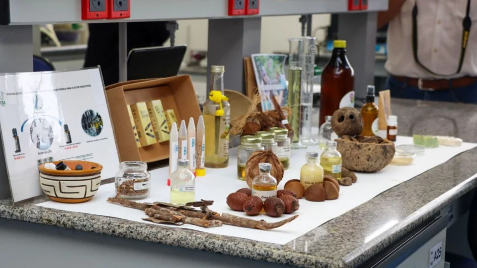 Impulsionada pela Sedecti, nova legislação impulsiona bioeconomia e sustentabilidade no Amazonas